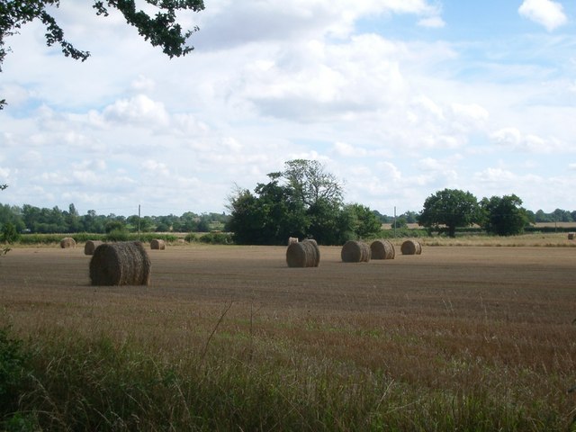Fields south of Wood Lane