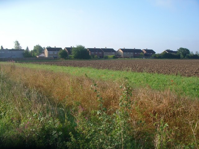 Field at Tacolneston