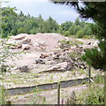 Croxden Quarry