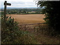 Newhouse Farm, Hanley Child