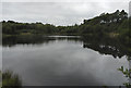 SS7593 : Cefn-cwrt Reservoir, Briton Ferry by Cedwyn Davies