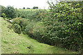 Withypool and Hawkridge: bridleway between Cloggs and Shircombe