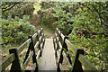 Withypool and Hawkridge: footbridge over Dane?s Brook