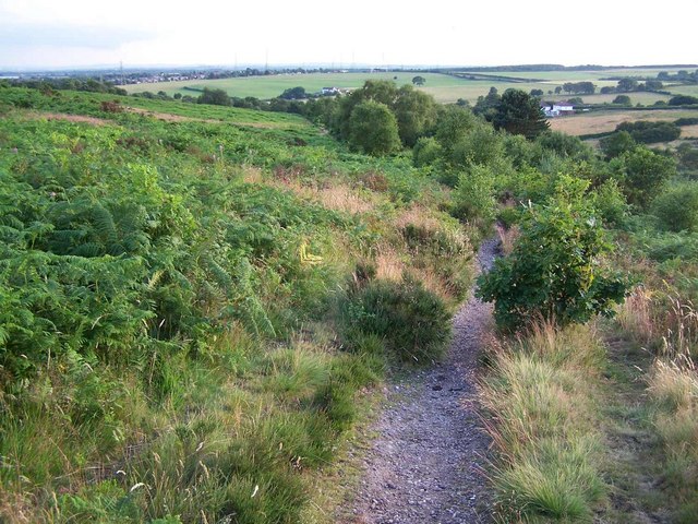 Gentleshaw Common © Geoff Pick :: Geograph Britain and Ireland