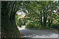 Lane near Penhale