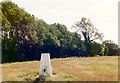 Trig point on Dunstable Downs