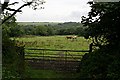 SW9260 : Field with Horses outside Ruthvoes by Tony Atkin