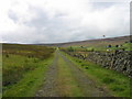 Track above the Swinhope Burn