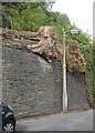 Tree stump, Back Lane, Ripponden. Soyland