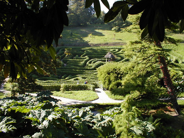 Glendurgan Garden, The Maze