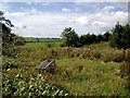 Waste ground at North Auchenbrain