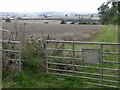 West View from Pitsford Hill