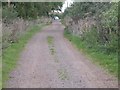 Cycleway on Pitsford Hill