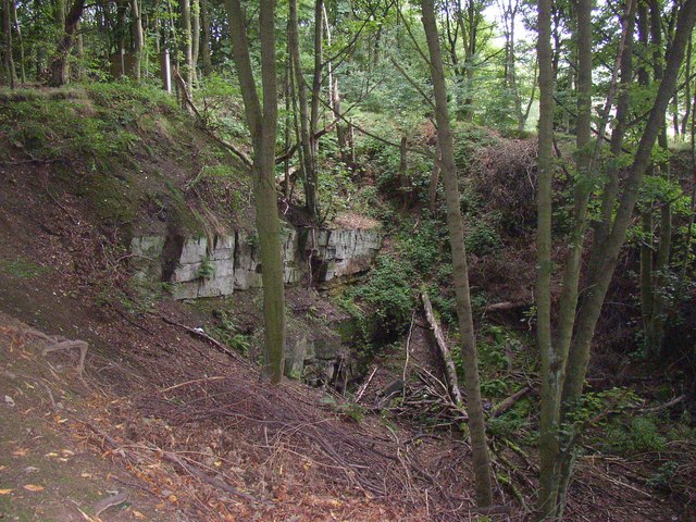 Quarry in a wood off Cowcliffe Road,... © Humphrey Bolton cc-by-sa/2.0 ...