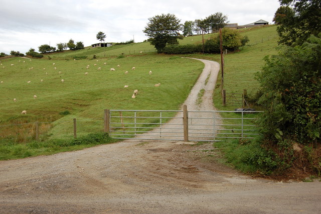 Track up to Torre Farm from Oldrey Lane