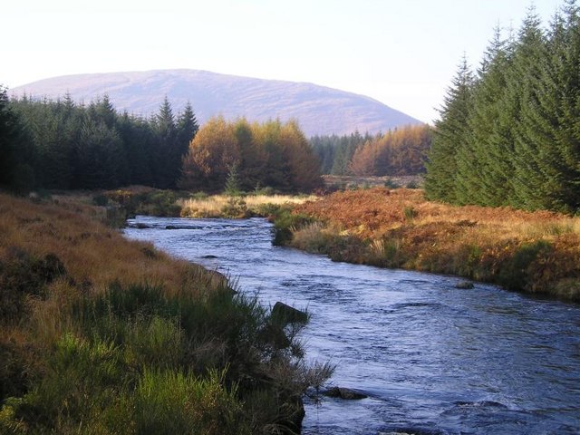 Looking up the River Dee from the forestry road