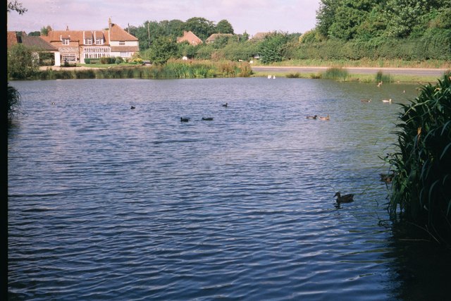 Stanhoe Village Pond