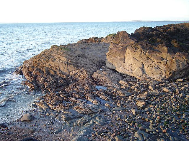 Igneous rocks, Cockenzie © Richard Webb :: Geograph Britain and Ireland