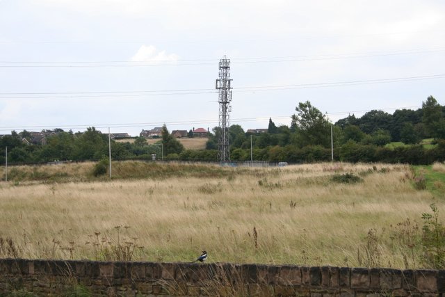 Communications mast, Birley