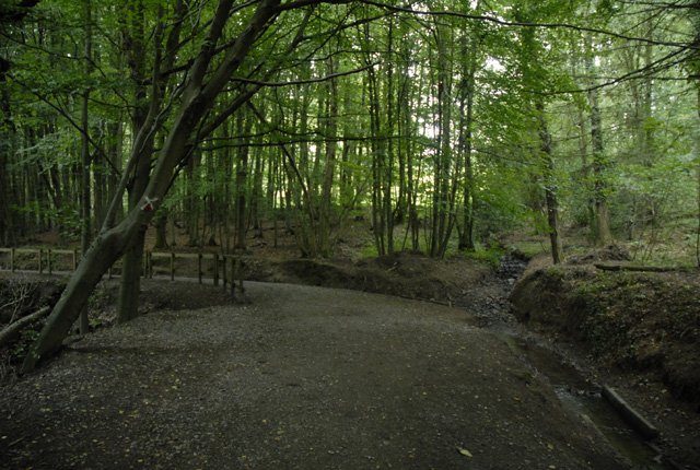 Path bend and stream in Mosshouse Wood