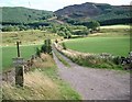 Tarnavie Cottage roadend