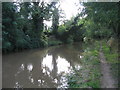 Ashby Canal