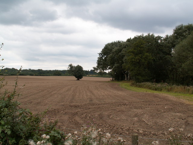 Farmland near Crimple Beck