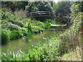 TQ5144 : Footbridge over the River Eden near Penshurst by Nikki Mahadevan