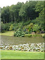 Fishing lake, Malston Mill