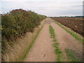 Bridleway on the Bedfordia farmland