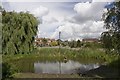 Duck Pond, centre of West Bergholt