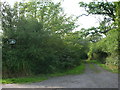 Bridle path leading to Halghton Lane