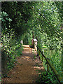 Footbridge across River Itchen west of Old Mill, Abbots Worthy