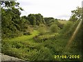 Disused Railway Cutting