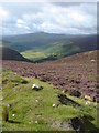  : View from the R759 down the valley between Lough Tay and Lough Dan by Margaret Clough