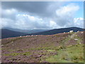  : Wicklow Mountains by Margaret Clough