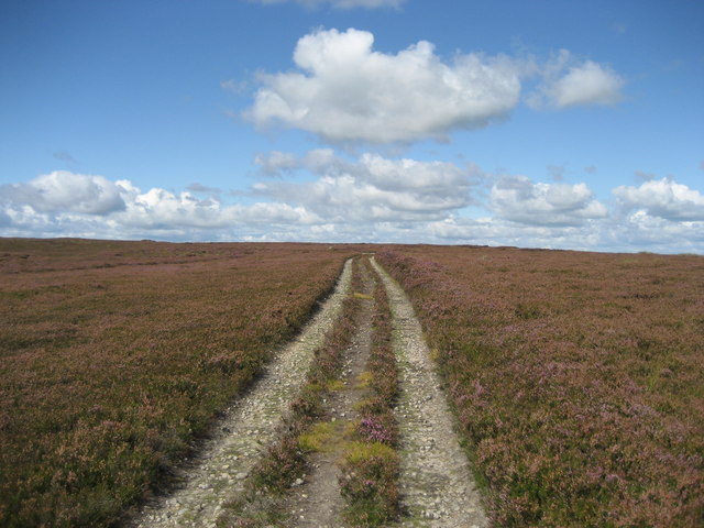 Track on Grewelthorpe Moor