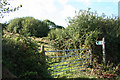 Yarcombe: footpath to North Common