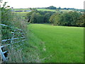 Shilston Brook valley