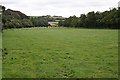 Pasture on the Flood Plain