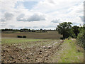 Farmland from Robbery Bottom Road