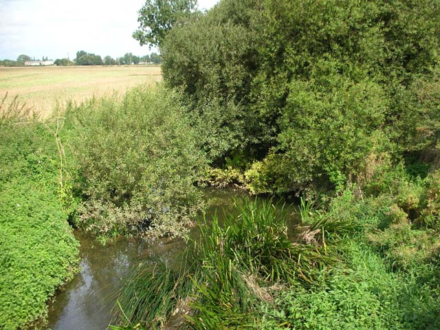 River Ise © Will Lovell :: Geograph Britain and Ireland