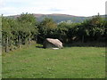 Erratic rock near Llywngwyn