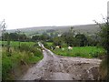 Road at Teebane East