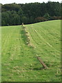 Remains of fence in pasture, near Little Hampden