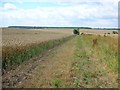 Wheat fields and wide headlands