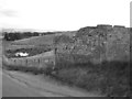 Ruin on Ryeflat Road