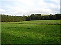 Enclosed field, Carmichael Estate