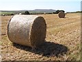 Straw bales south of Carnelloe Farm