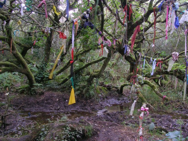 Cloutie tree near Madron Well by Jim Champion